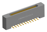 NK-1B2-021-228-0000-010 - Nano-miniature D-shaped vertical surface board mount (SMT) connector with mounting holes, 1 row of 21 contacts, and no hardware. (Receptacle)