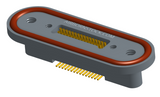 NKRP-2B4-031-228-TH00 - Nano-miniature D-shaped rear panel mount vertical surface board mount (SMT) connector with fluorosilicone o-ring, 2 rows with 36617 contacts, and threaded holes for attachment hardware. (Receptacle)